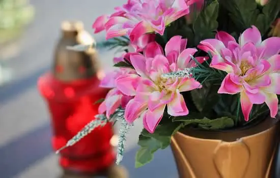 Cremazione e leggi sulla cremazione